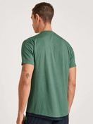Herren-Model trägt Kurzarm-Shirt aus Modal in Grün, Einfarbig aus Serie DSW Balancing von CALIDA, Rückansicht