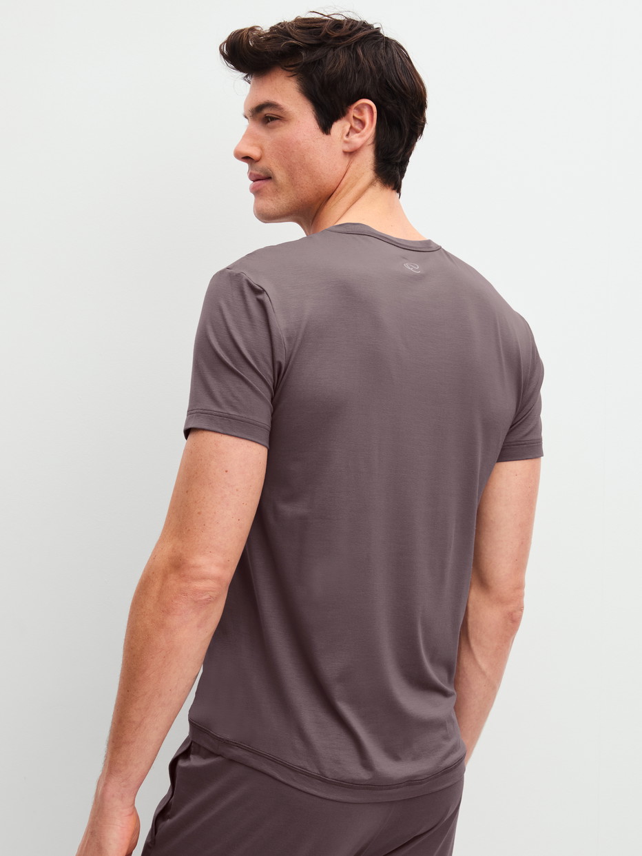 Herren-Model trägt Kurzarm-Shirt aus Modal in Braun, Einfarbig aus Serie DSW Balancing von CALIDA, Rückansicht