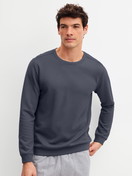 Men model is wearing Sweatshirt made of Cotton in Grey, Unicoloured from the RMX Lounge Casual series by CALIDA, Front view