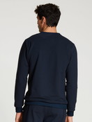 Le mannequin Homme porte le/la Sweatshirt en 100% coton de couleur Bleu, Unicolore, de la série Circular Lounge de CALIDA, Vue arrière
