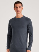 Le mannequin Homme porte le/la T-shirt à manches longues en Lyocell de couleur Gris, Unicolore, de la série DSW Warming de CALIDA, Vue de face