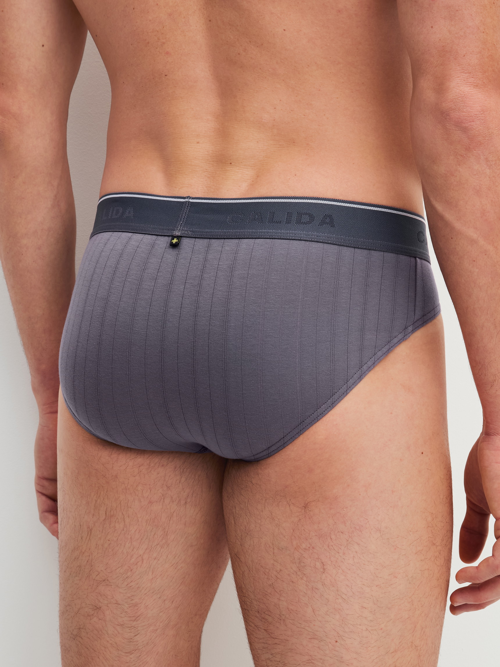 Le mannequin Homme porte le/la Mini slip en Coton de couleur Gris, Unicolore, de la série Pure & Style de CALIDA, Vue arrière