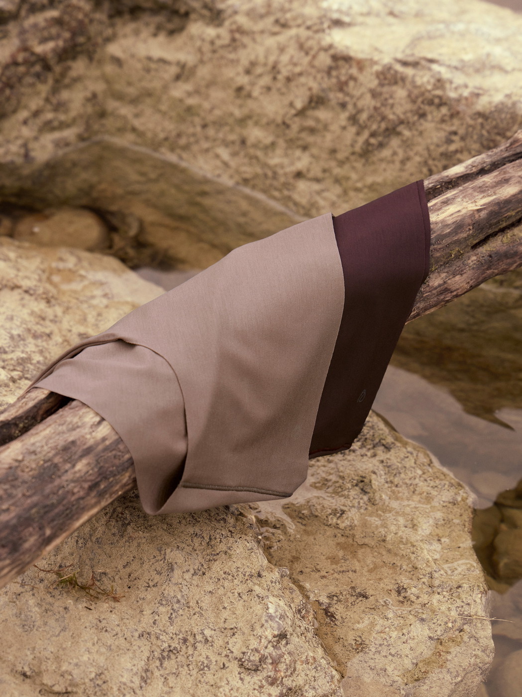 Women - Brief made of Modal in Brown, Unicoloured, from the Natural Skin series by CALIDA, Detail