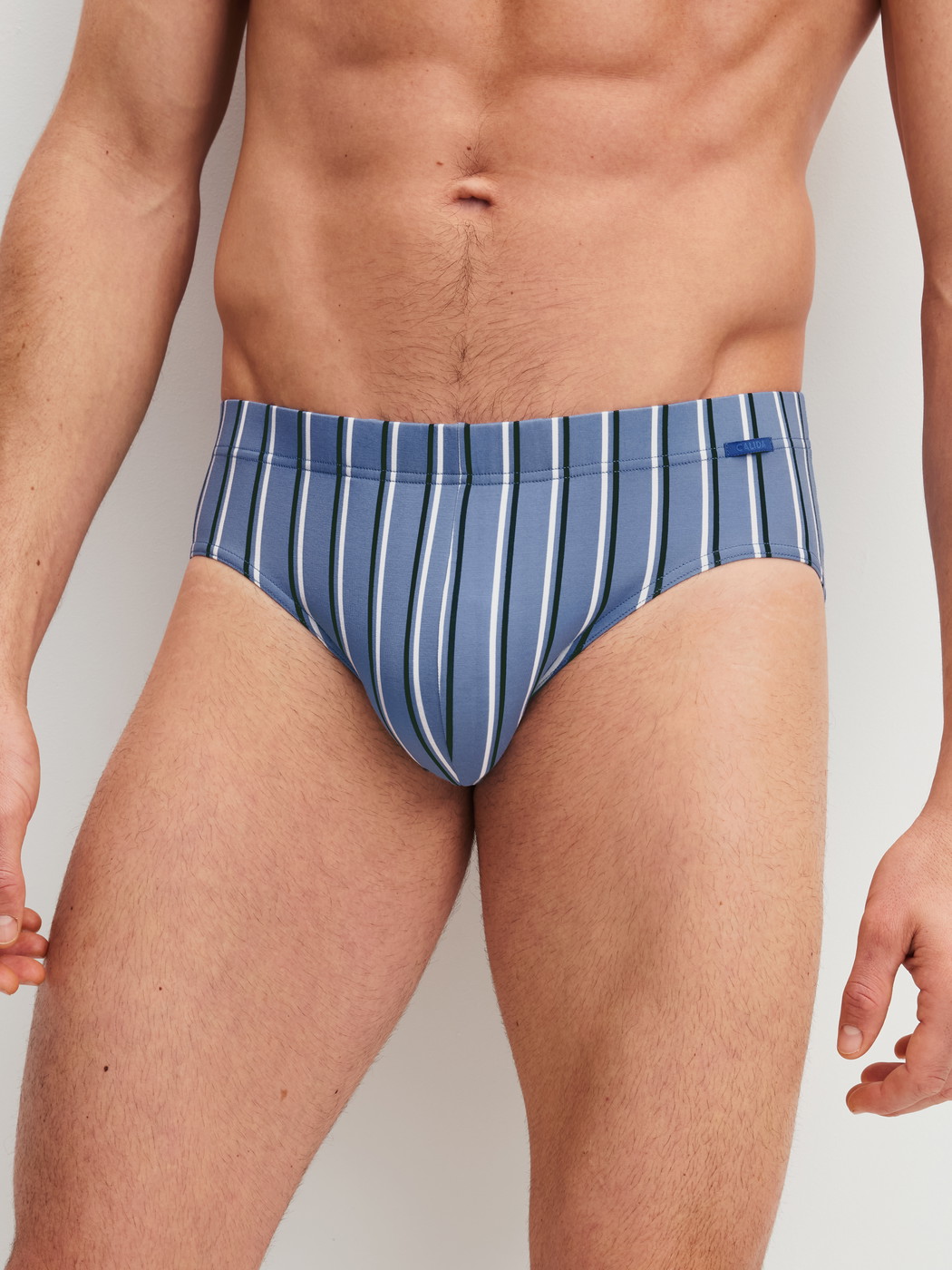 La modella / Il modello Uomo indossa Slip in Pima® Cotone di colore Blu, A righe, della serie Grafic Cotton di CALIDA, Vista frontale