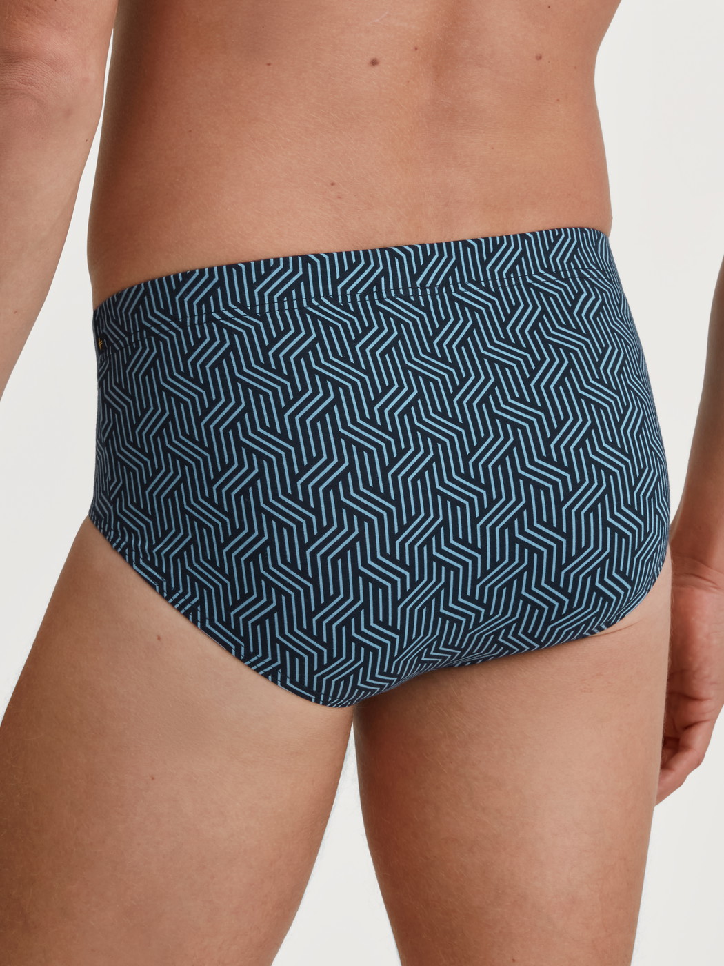 Herren-Model trägt Slip aus TENCEL™ in Blau, Gemustert aus Serie Focus Trend von CALIDA, Rückansicht
