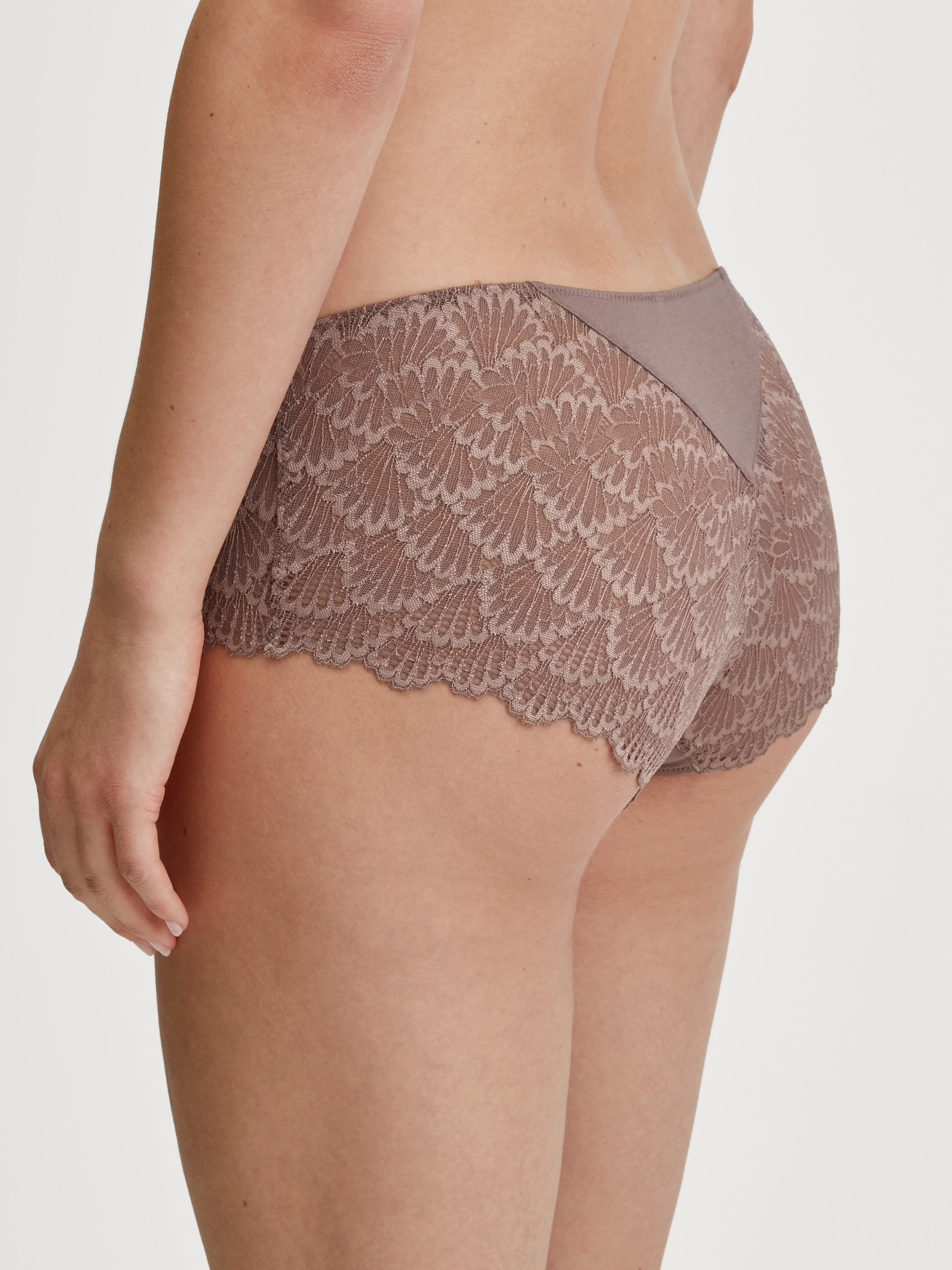 La modella / Il modello Donna indossa Panty a vita bassa in Modal di colore Marrone, Pizzo, della serie Modal Sense di CALIDA, Vista posteriore
