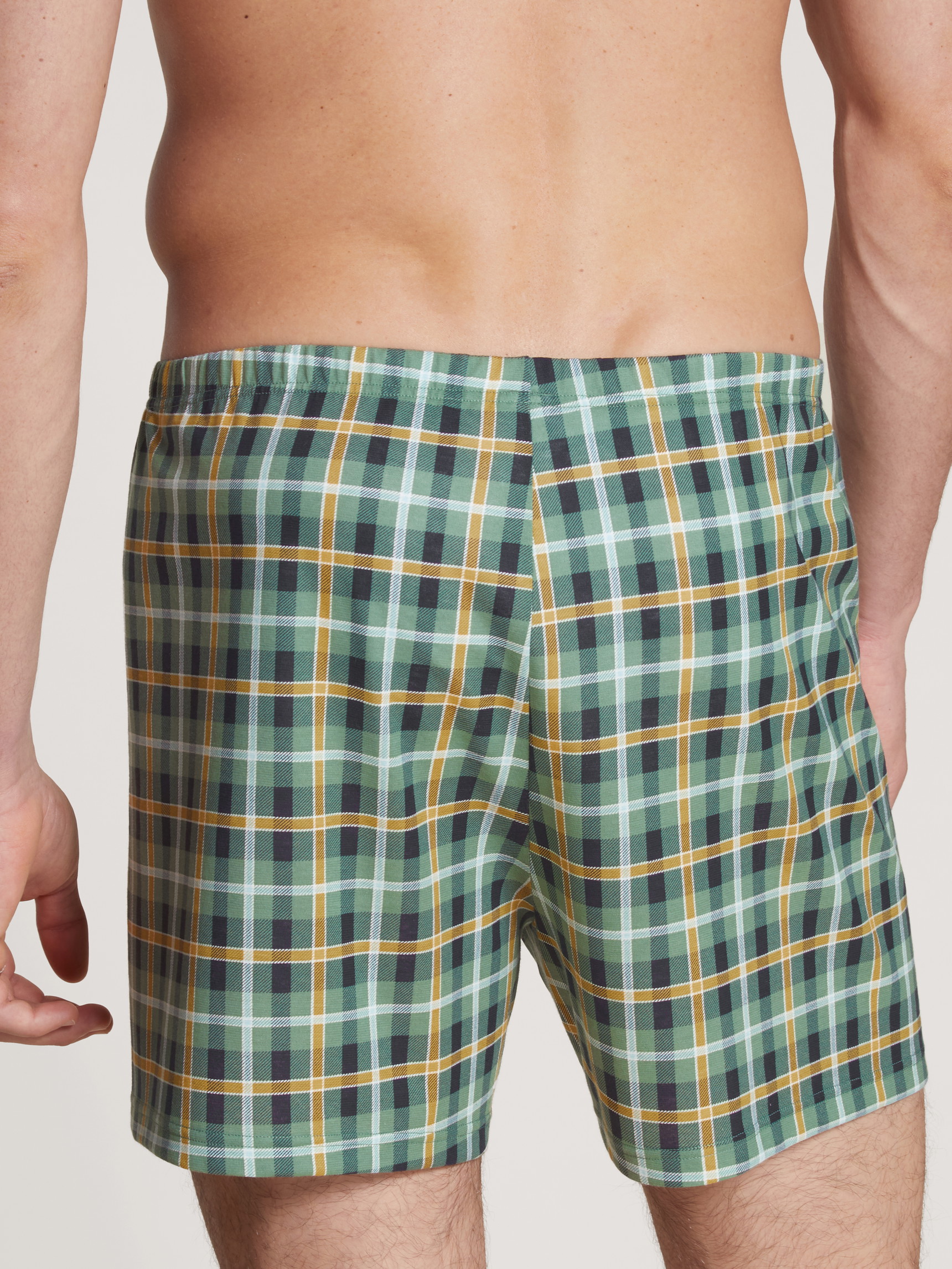 Herren-Model trägt Boxershorts aus 100% Baumwolle in Grün, Kariert aus Serie Daywear Xtra von CALIDA, Rückansicht
