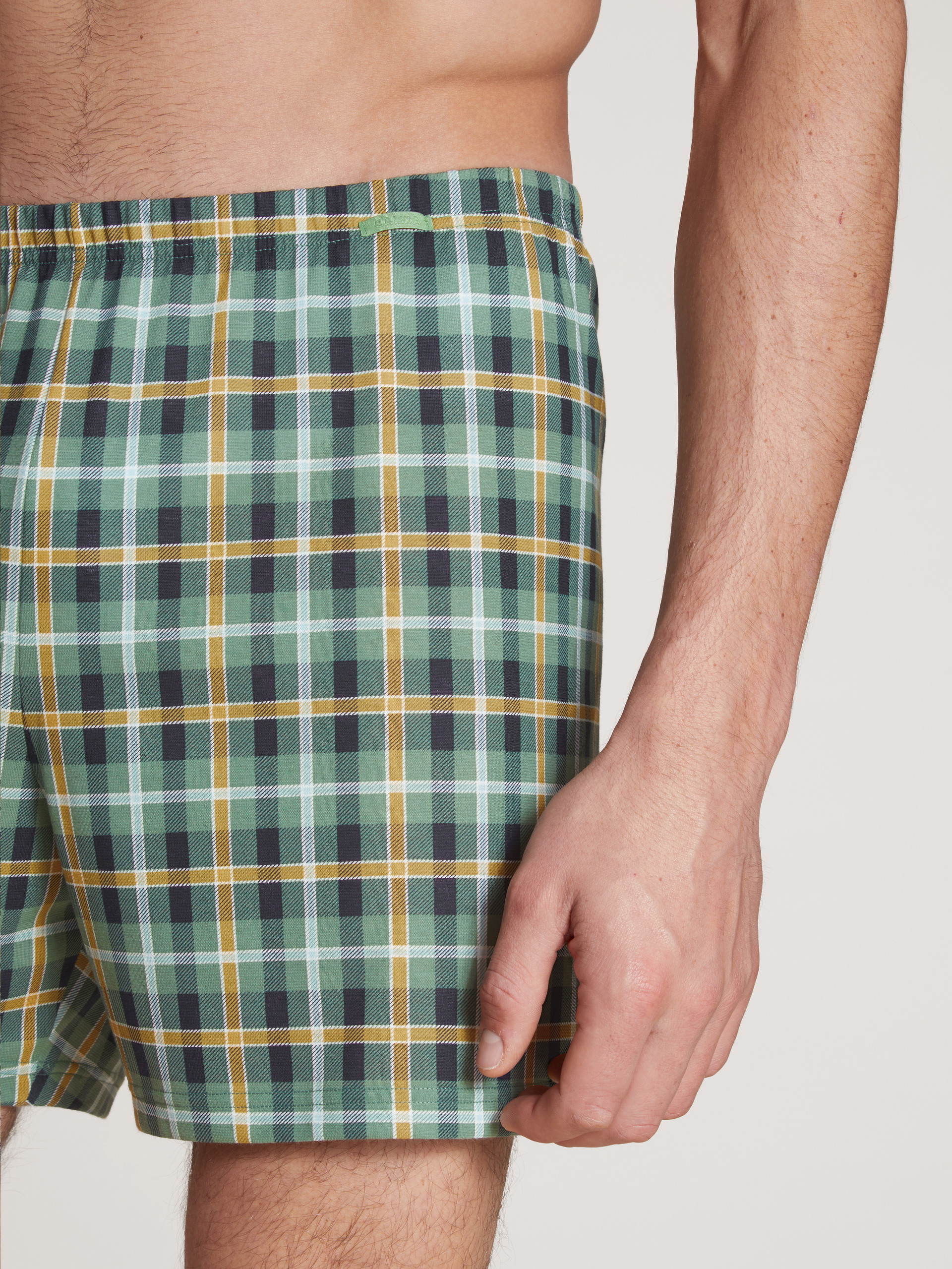 Le mannequin Homme porte le/la Boxer short en 100% coton de couleur Vert, À carreaux, de la série Daywear Xtra de CALIDA, Détail