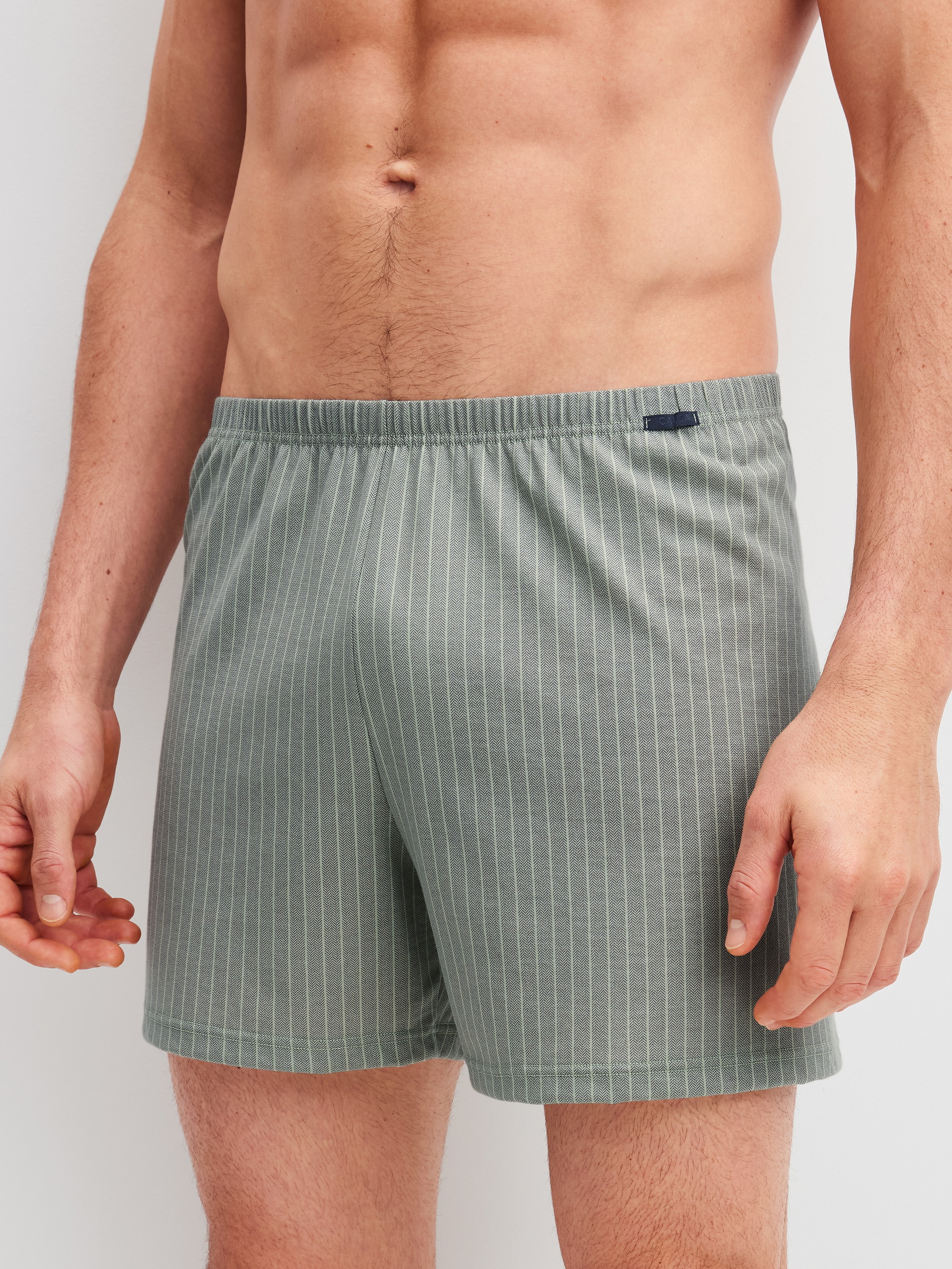 Herren-Model trägt Jersey-Boxershorts ohne Eingriff aus 100% Baumwolle in Grün, Gestreift aus Serie Prints von CALIDA, Vorderansicht