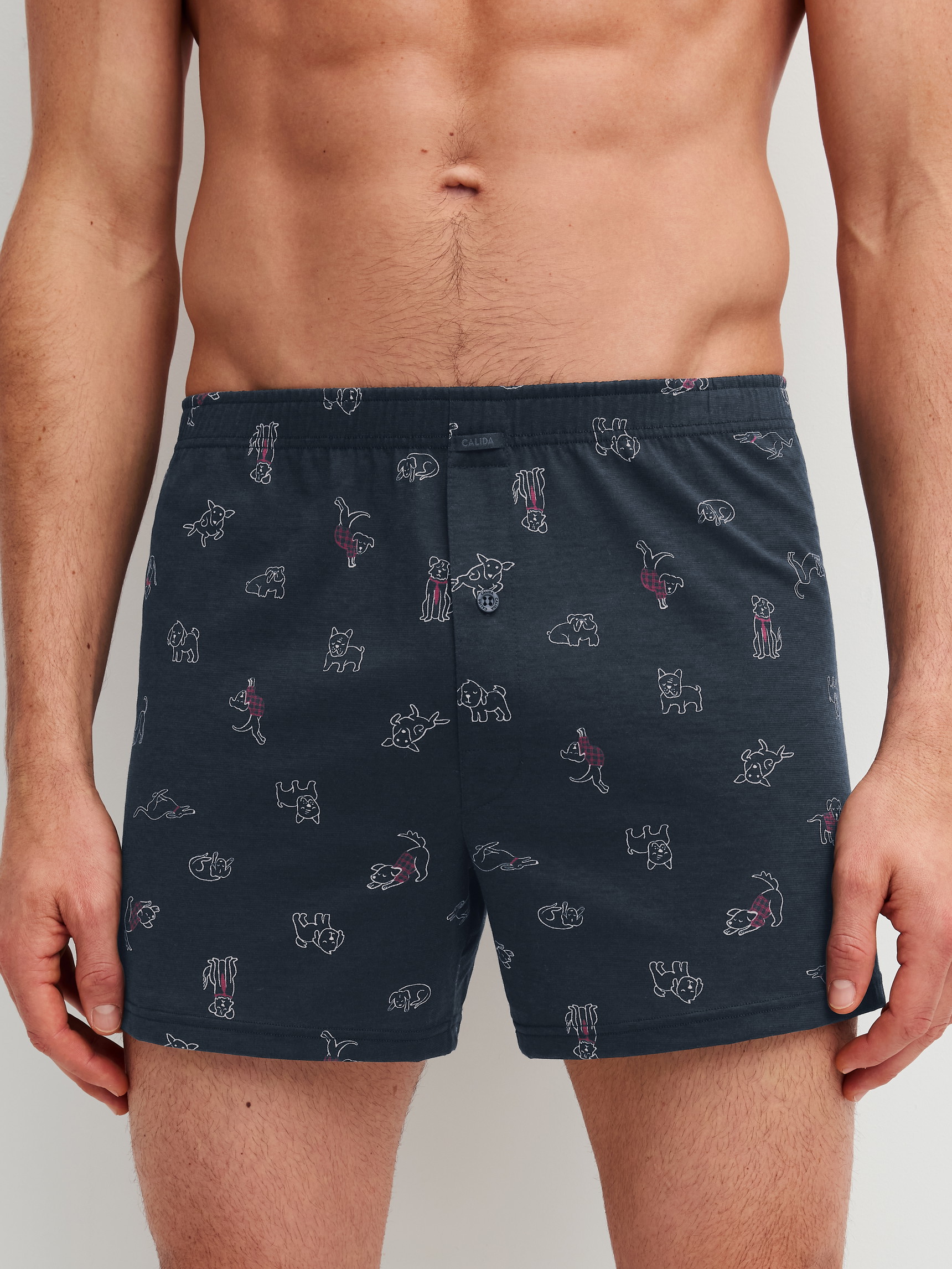 Herren-Model trägt Boxershorts aus 100% Baumwolle in Blau, Gemustert aus Serie Family & Friends von CALIDA, Vorderansicht