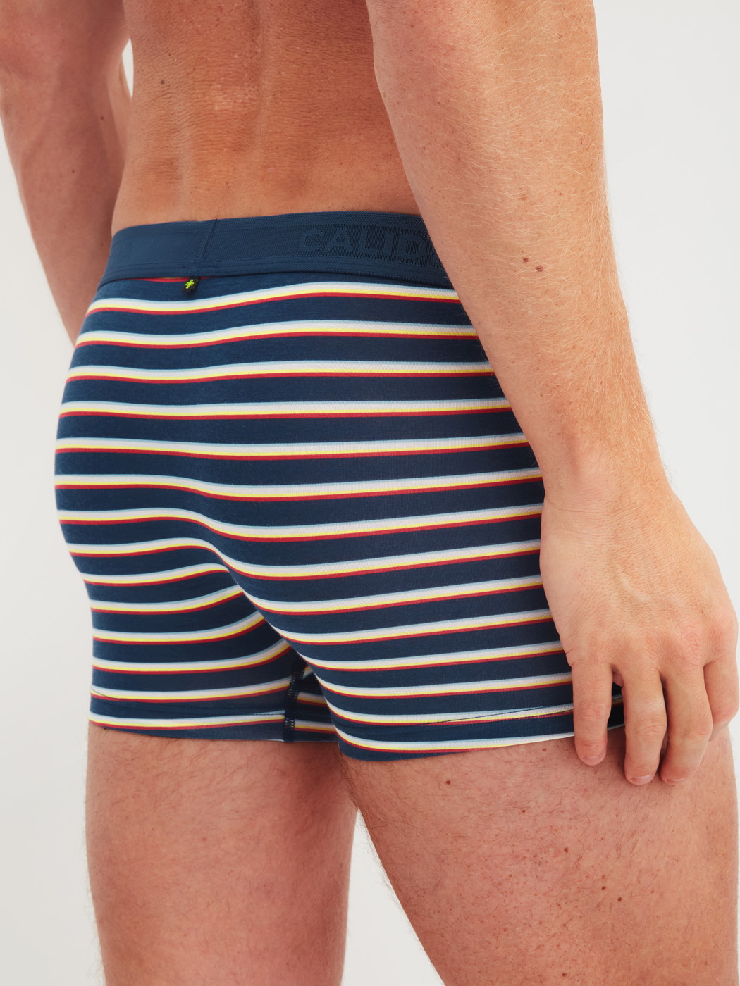 Herren-Model trägt Boxer Brief aus Lyocell in Blau, Gestreift aus Serie Focus Trend von CALIDA, Rückansicht