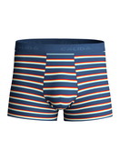 Herren - Boxer Brief aus Lyocell in Blau, Gestreift aus Serie Focus Trend von CALIDA