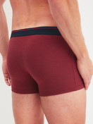 Men model is wearing Boxer brief made of Cotton in Red, Unicoloured from the Cotton Stretch series by CALIDA, Back view