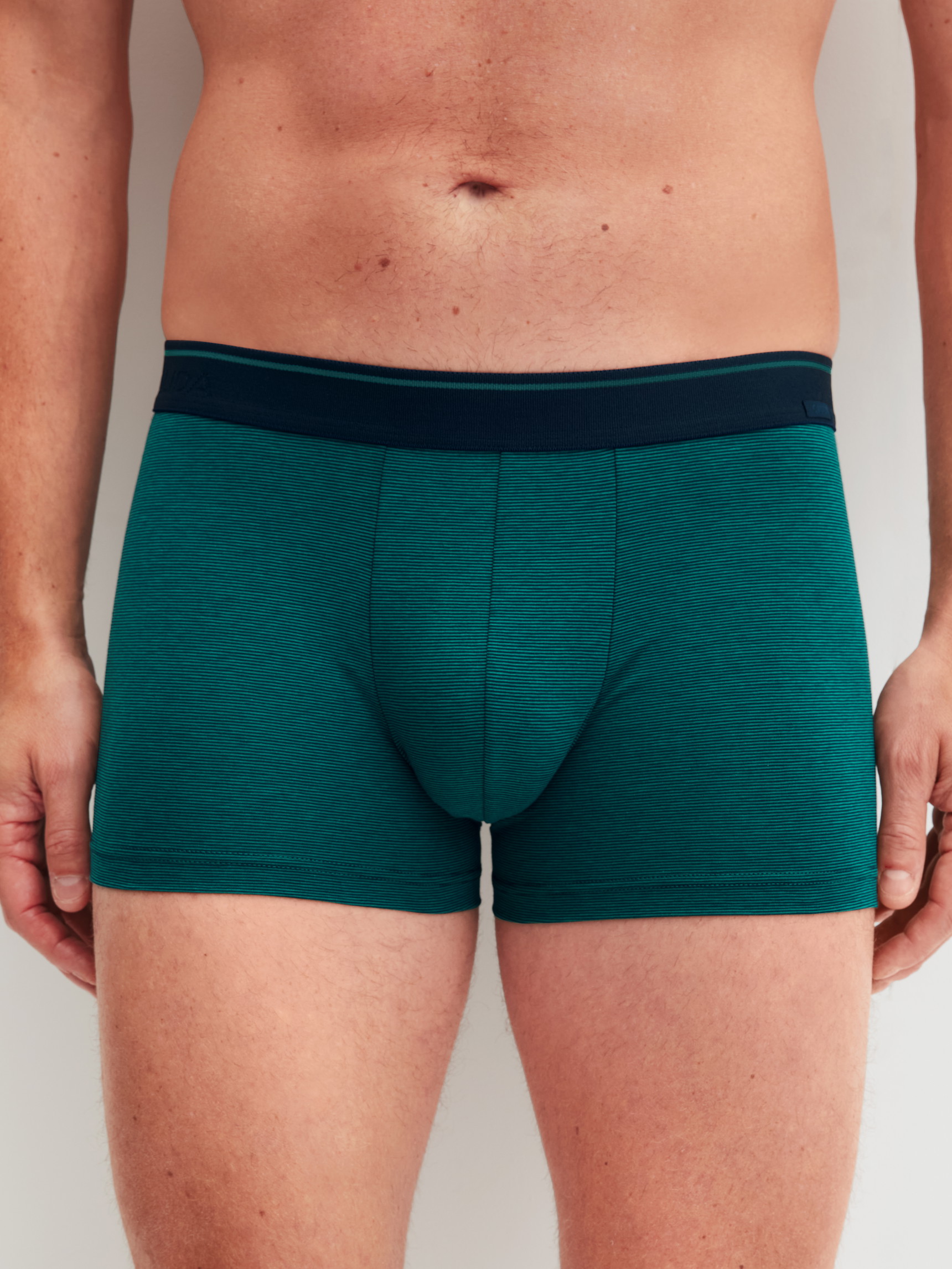 La modella / Il modello Uomo indossa Boxer brief in Cotone di colore Verde, Tinta unita, della serie Cotton Stretch di CALIDA, Vista frontale