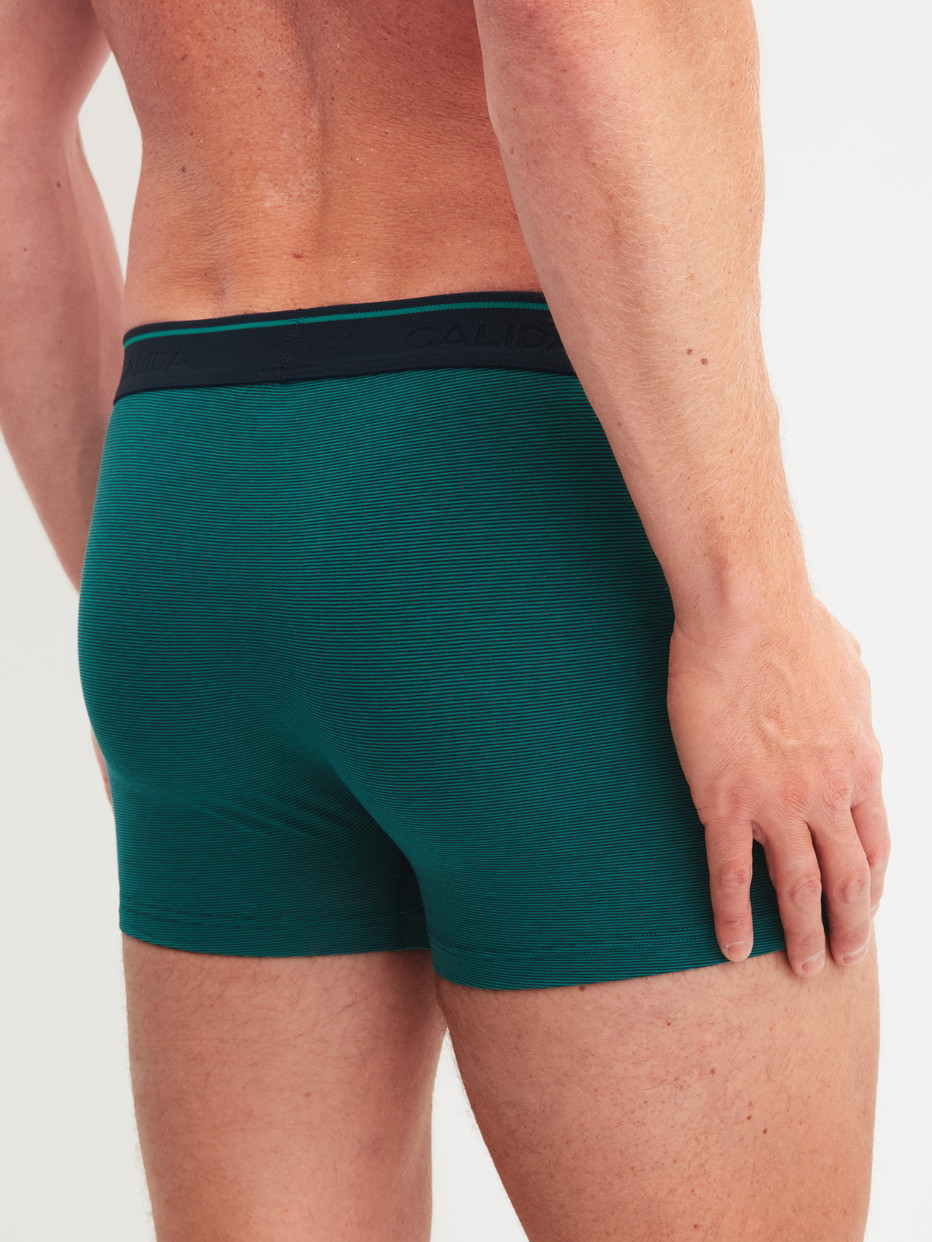 Herren-Model trägt Boxer Brief mit Softbund aus Baumwolle in Grün, Einfarbig aus Serie Cotton Stretch von CALIDA, Rückansicht