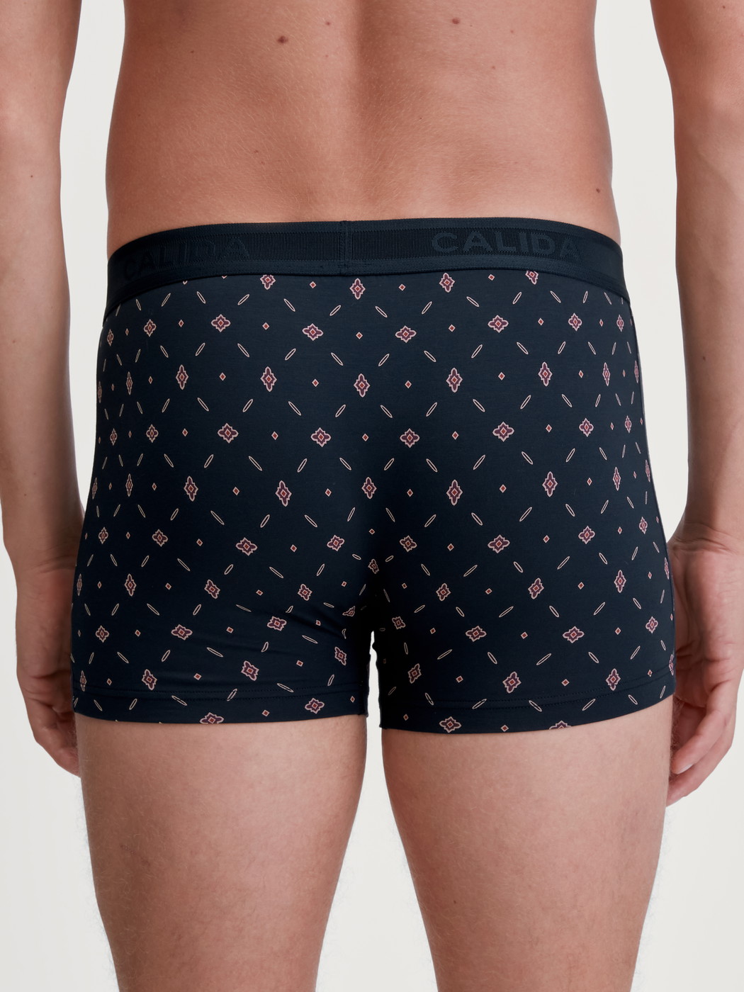 La modella / Il modello Uomo indossa Boxer brief in Cotone di colore Blu, Modello, della serie Swiss Cotton Select di CALIDA, Vista posteriore