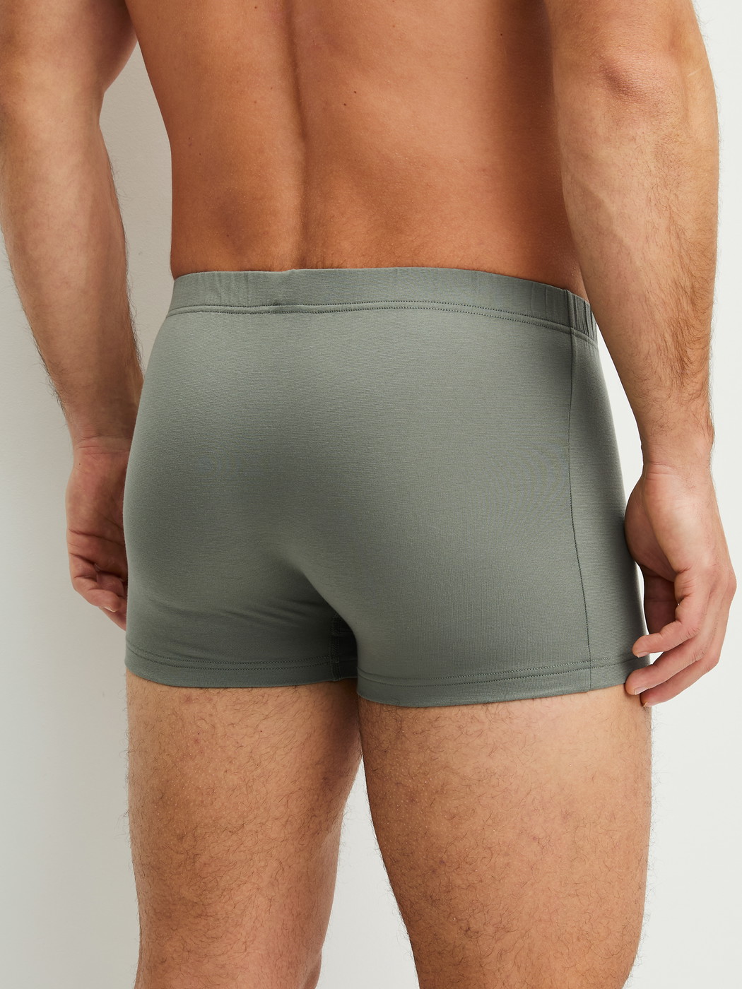 La modella / Il modello Uomo indossa Boxer brief in Cotone di colore Verde, Tinta unita, della serie Evolution di CALIDA, Vista posteriore