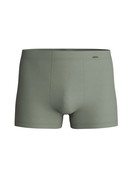 Uomo - Boxer brief in Cotone di colore Verde, Tinta unita, della serie Evolution di CALIDA