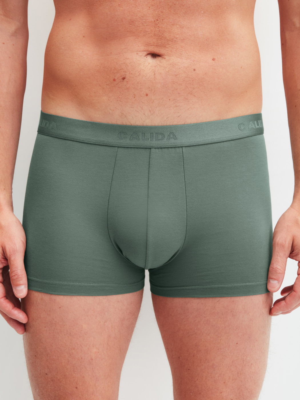 Le mannequin Homme porte le/la Boxer brief en Coton de couleur Vert, Unicolore, de la série Evolution de CALIDA, Vue de face
