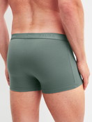 Le mannequin Homme porte le/la Boxer brief en Coton de couleur Vert, Unicolore, de la série Evolution de CALIDA, Vue arrière