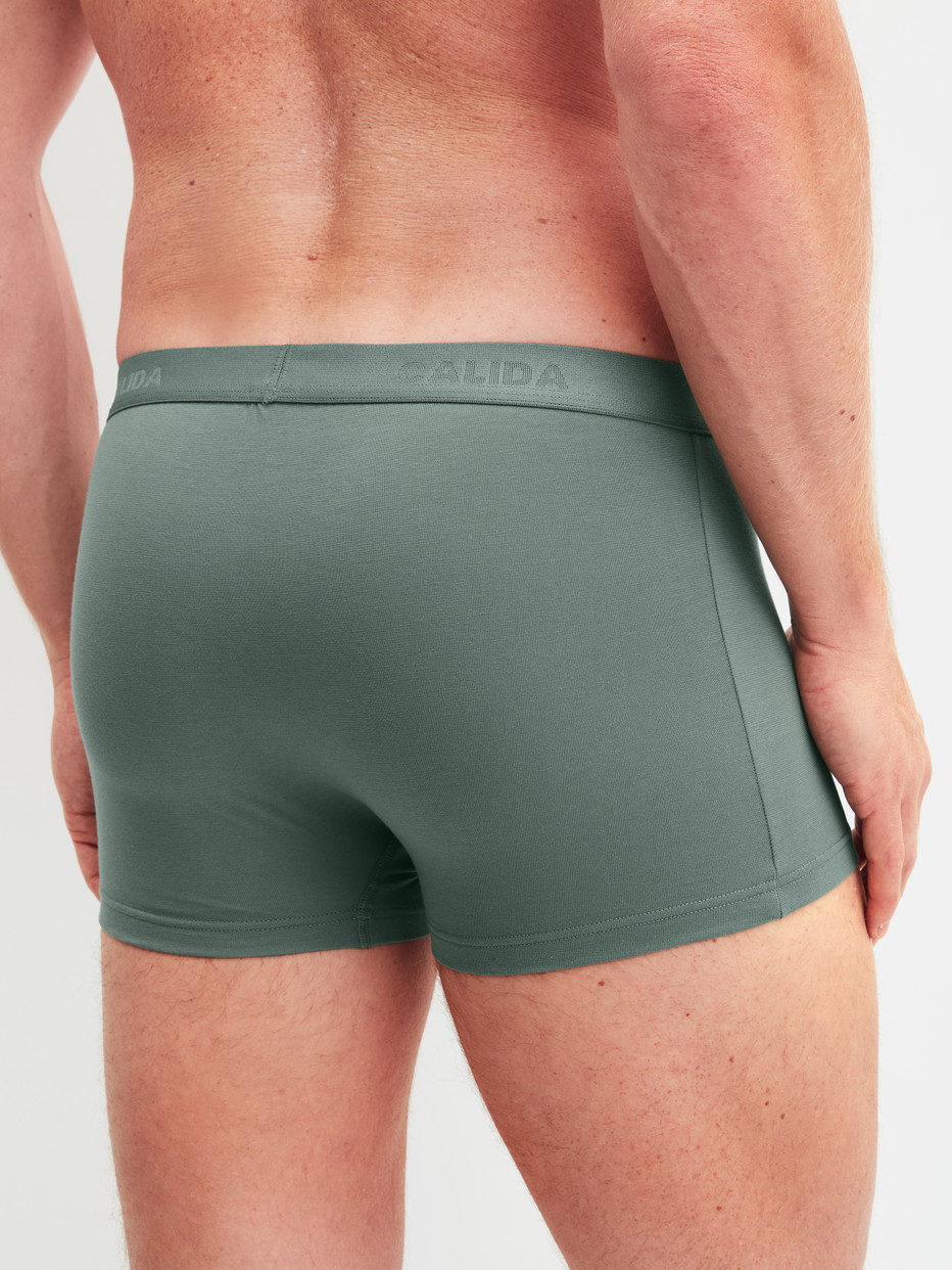 Herren-Model trägt Boxer Brief mit Softbund aus Baumwolle in Grün, Einfarbig aus Serie Evolution von CALIDA, Rückansicht