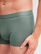 Le mannequin Homme porte le/la Boxer brief en Coton de couleur Vert, Unicolore, de la série Evolution de CALIDA, Vue de face