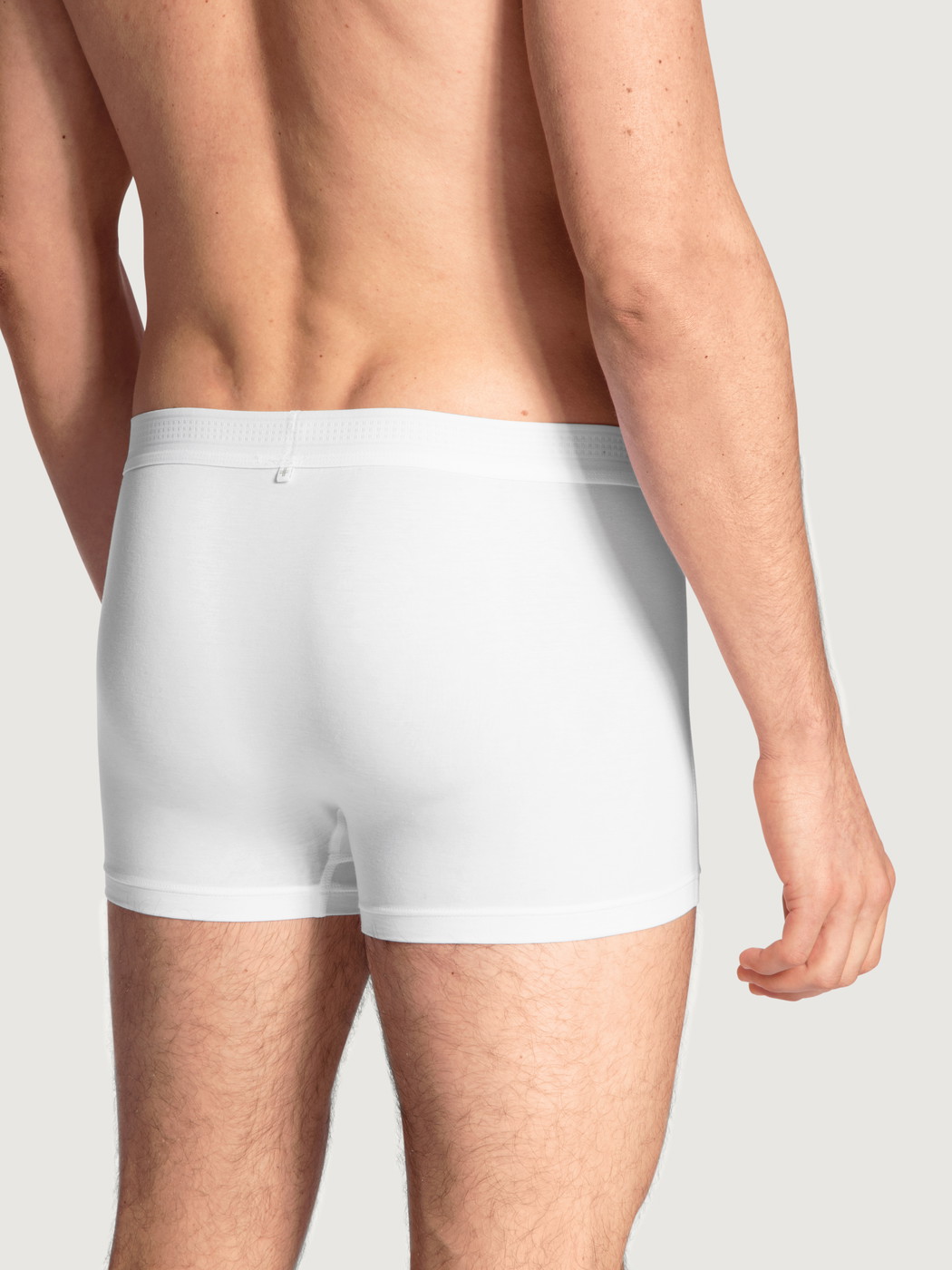 Herren-Model trägt Boxer Brief mit Softbund aus Lyocell in Weiß, Einfarbig aus Serie Focus von CALIDA, Rückansicht