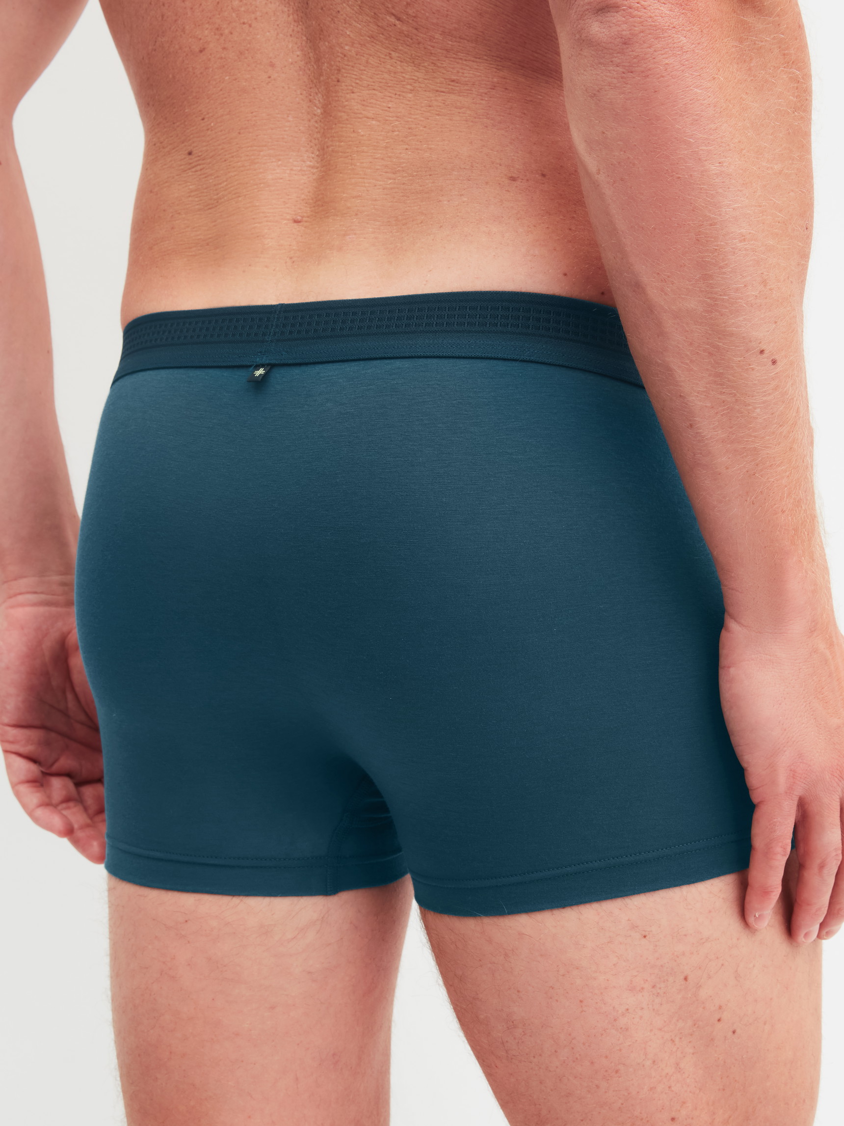 Herren-Model trägt Boxer Brief mit Softbund aus Lyocell in Türkis, Einfarbig aus Serie Focus von CALIDA, Rückansicht