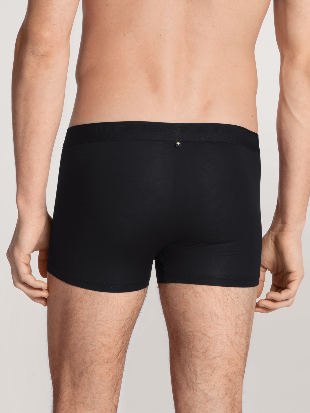 Herren-Model trägt Boxer Brief mit Softbund aus Lyocell in Schwarz, Einfarbig aus Serie Focus von CALIDA, Rückansicht
