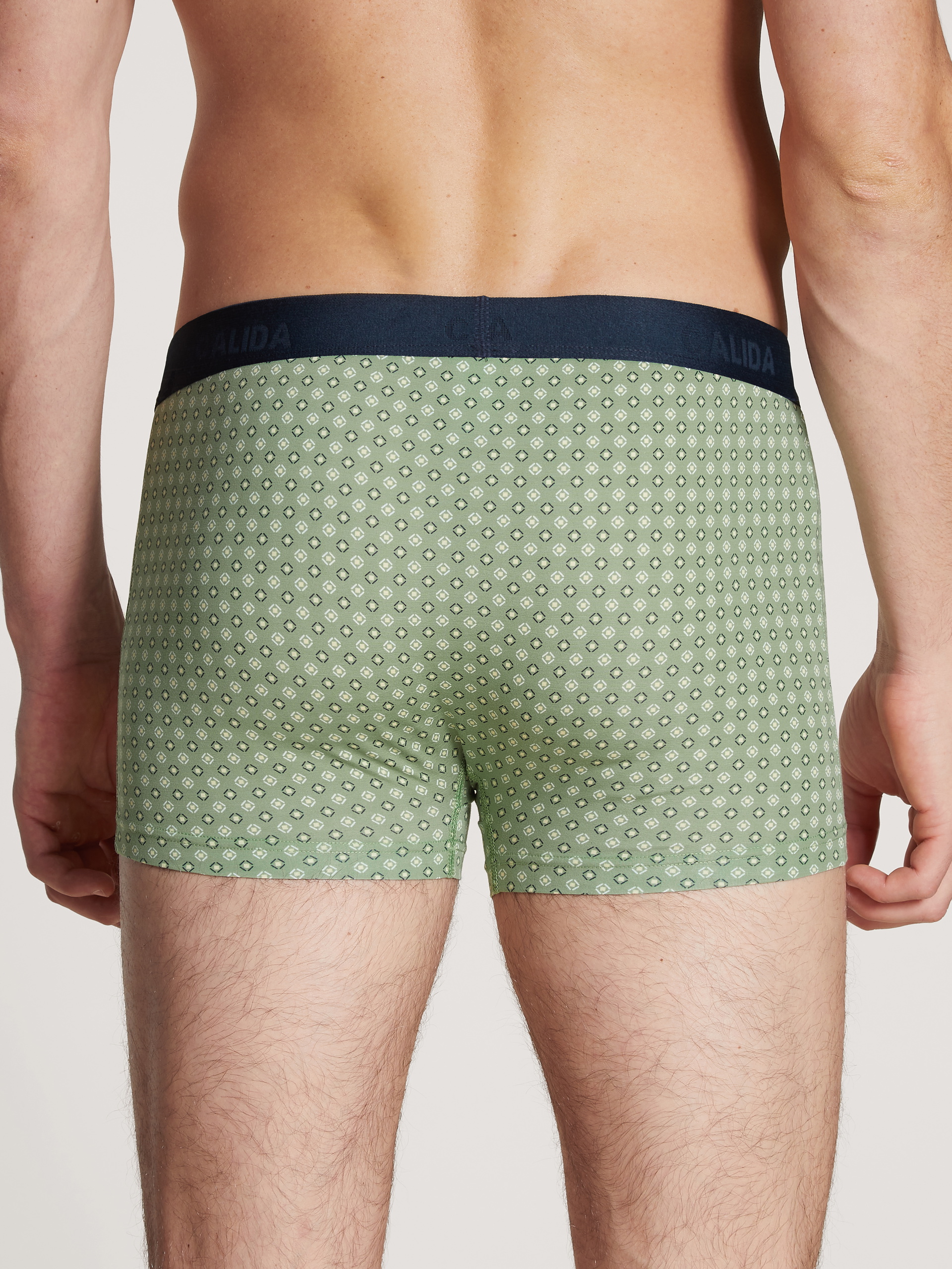 Le mannequin Homme porte le/la Boxer brief en Coton de couleur Vert, À carreaux, de la série Daywear Xtra de CALIDA, Vue arrière