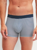 Le mannequin Homme porte le/la Boxer brief en Coton de couleur Bleu, Rayée, de la série Grafic Cotton de CALIDA, Vue de face