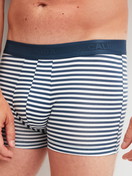 Le mannequin Homme porte le/la Boxer brief en Coton de couleur Bleu, Rayée, de la série Grafic Cotton de CALIDA, Détail