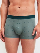 La modella / Il modello Uomo indossa Boxer brief in Cotone di colore Verde, Modello, della serie Grafic Cotton di CALIDA, Vista frontale