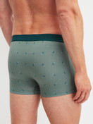 La modella / Il modello Uomo indossa Boxer brief in Cotone di colore Verde, Modello, della serie Grafic Cotton di CALIDA, Vista posteriore