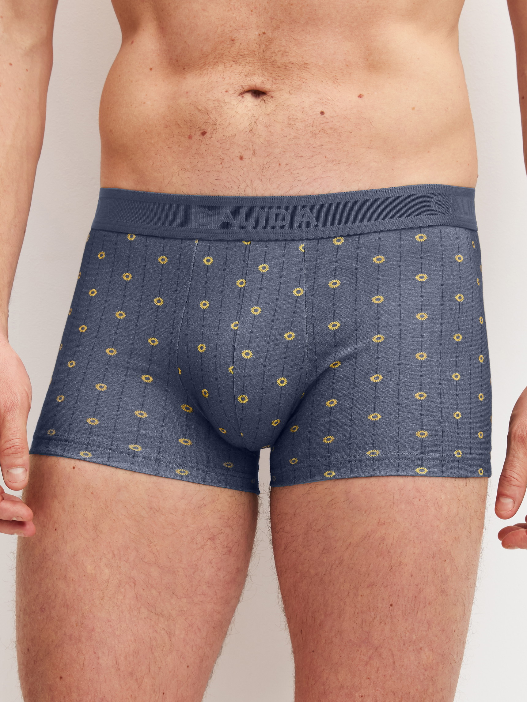La modella / Il modello Uomo indossa Boxer brief in Cotone di colore Grigio, Modello, della serie EDITION 85 di CALIDA, Vista frontale