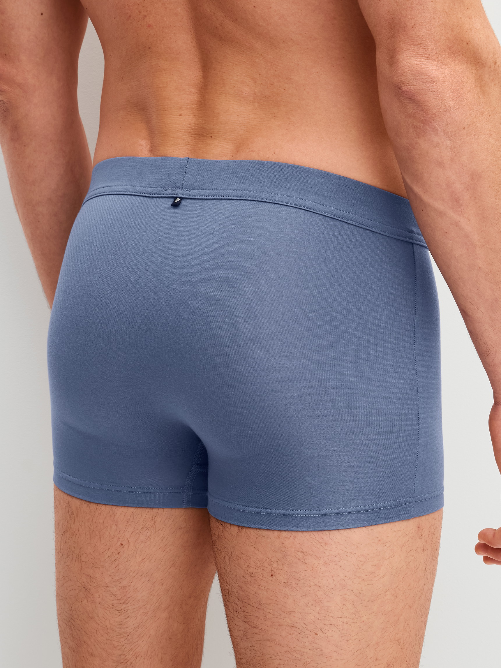 Herren-Model trägt Boxer Brief mit Quick Dry Effekt aus Modal in Blau, Einfarbig aus Serie Balanced Day von CALIDA, Rückansicht