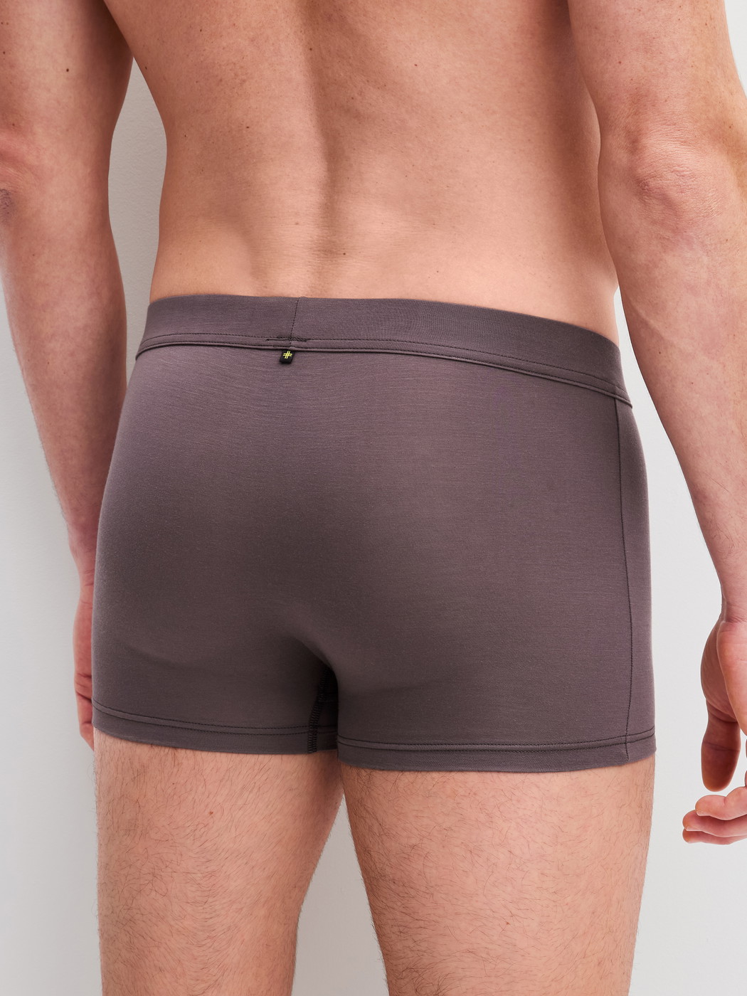 La modella / Il modello Uomo indossa Boxer brief in Modal di colore Marrone, Tinta unita, della serie Balanced Day di CALIDA, Vista posteriore