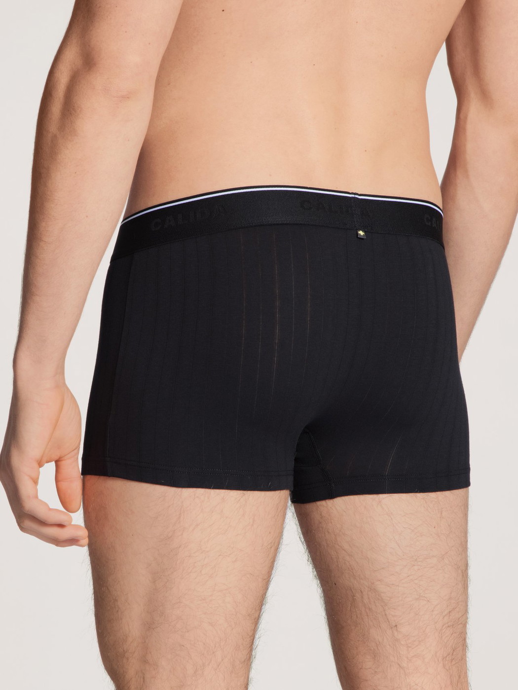 Herren-Model trägt Boxer Brief, 3er-Pack aus Baumwolle in Schwarz, Einfarbig aus Serie Pure & Style von CALIDA, Rückansicht