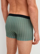 Herren-Model trägt Boxer Brief, 3er-Pack aus Baumwolle in Grün, Gestreift aus Serie Natural Benefit von CALIDA, Rückansicht