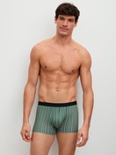 Herren-Model trägt Boxer Brief, 3er-Pack aus Baumwolle in Grün, Gestreift aus Serie Natural Benefit von CALIDA, Outfit