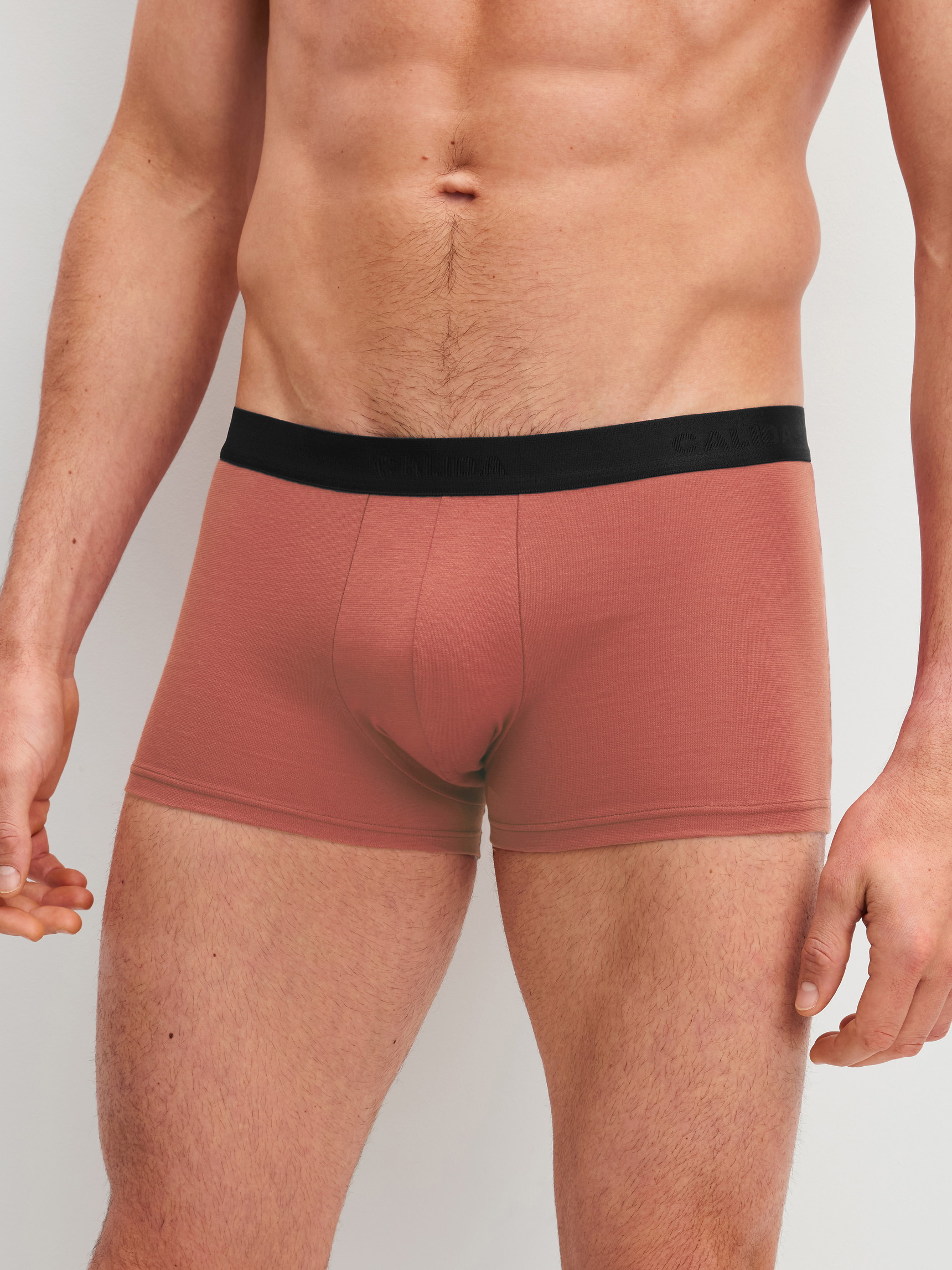 Herren-Model trägt Boxer Brief, 3er-Pack aus Baumwolle in Schwarz, Motiv aus Serie Cotton Special von CALIDA, Vorderansicht