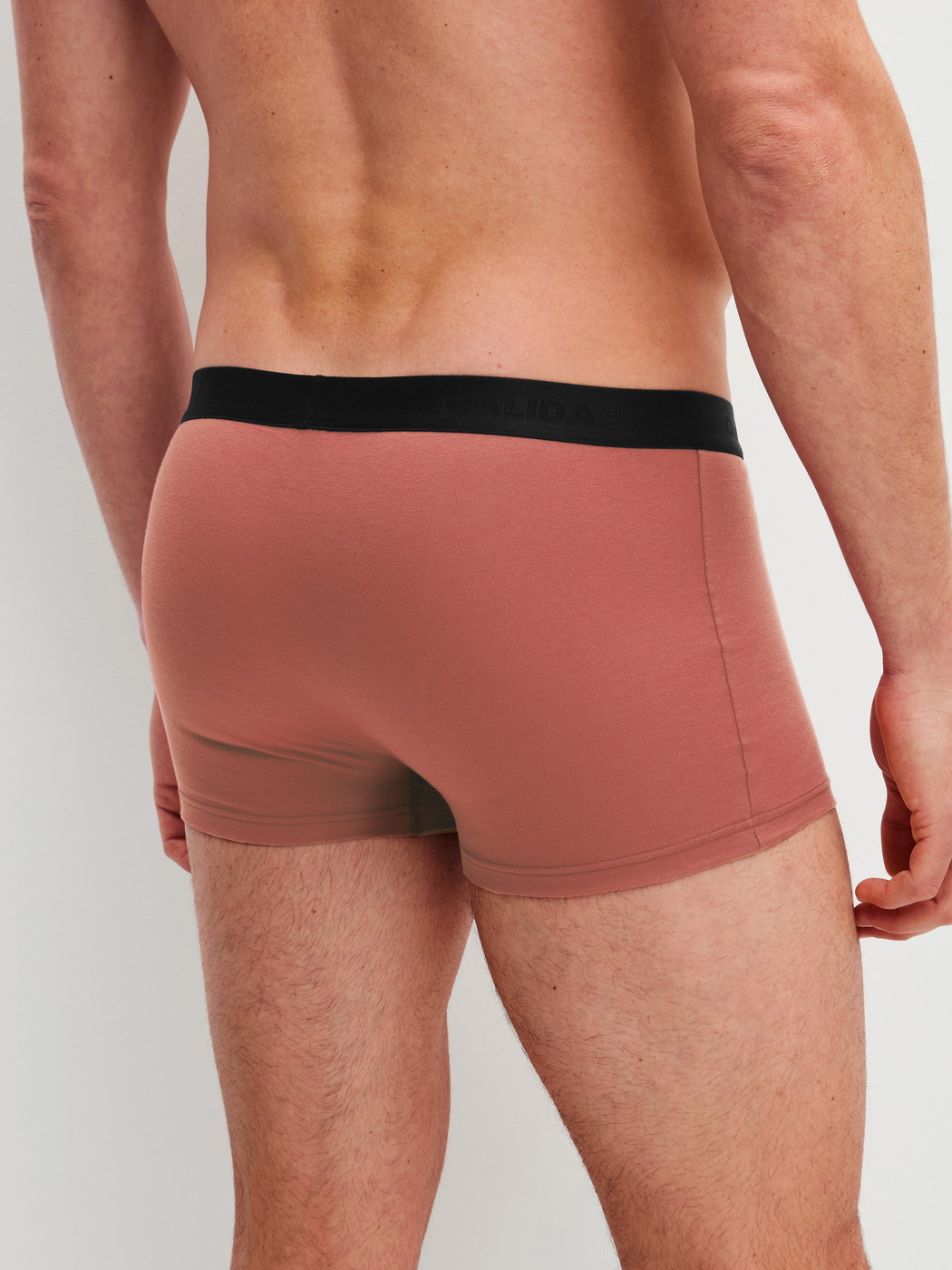 Men model is wearing Boxer Briefs, 3-Pack made of Cotton in Black, Motif from the Cotton Special series by CALIDA, Back view