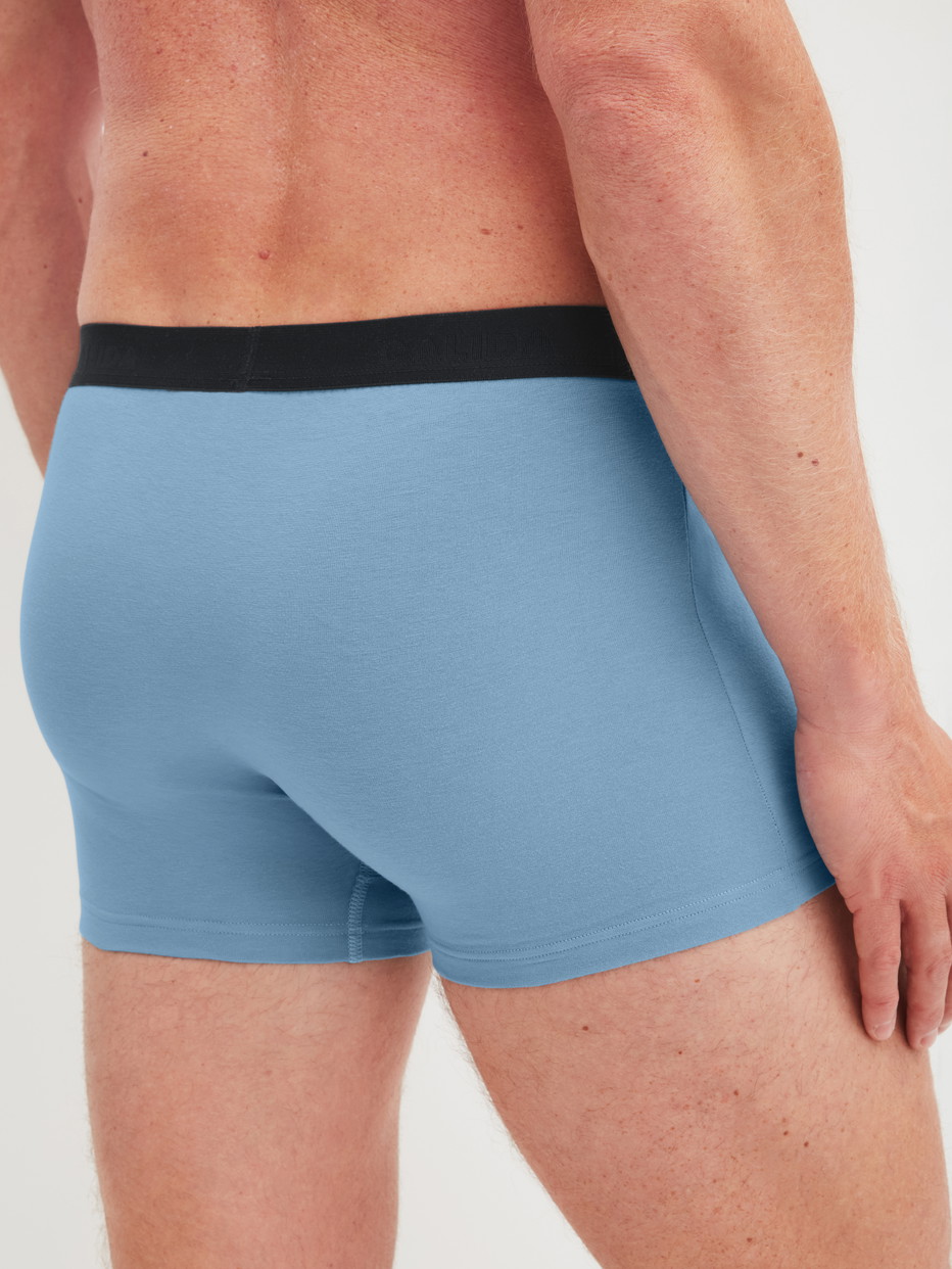 Herren-Model trägt Boxer Brief, 3er-Pack aus Baumwolle in Blau, Einfarbig aus Serie Cotton Special von CALIDA, Rückansicht
