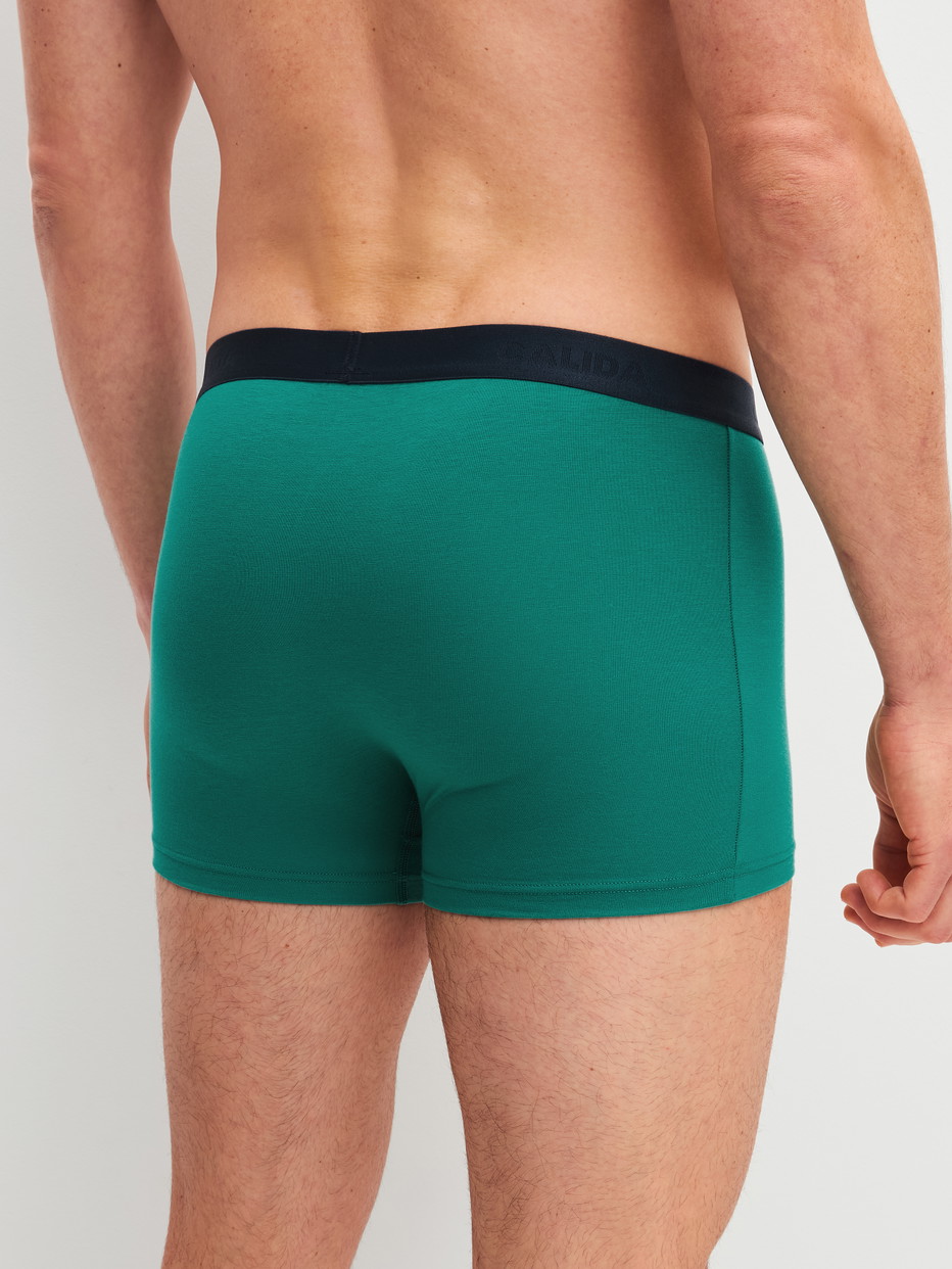 Herren-Model trägt Boxer Brief, 3er-Pack aus 100% Baumwolle in Grün, Einfarbig aus Serie Cotton Special von CALIDA, Rückansicht