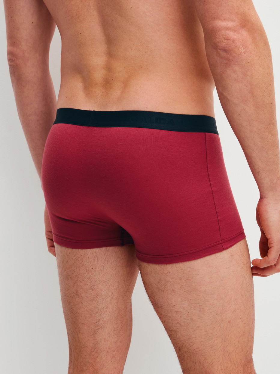 Herren-Model trägt Boxer Brief, 3er-Pack aus 100% Baumwolle in Blau, Einfarbig aus Serie Cotton Special von CALIDA, Rückansicht