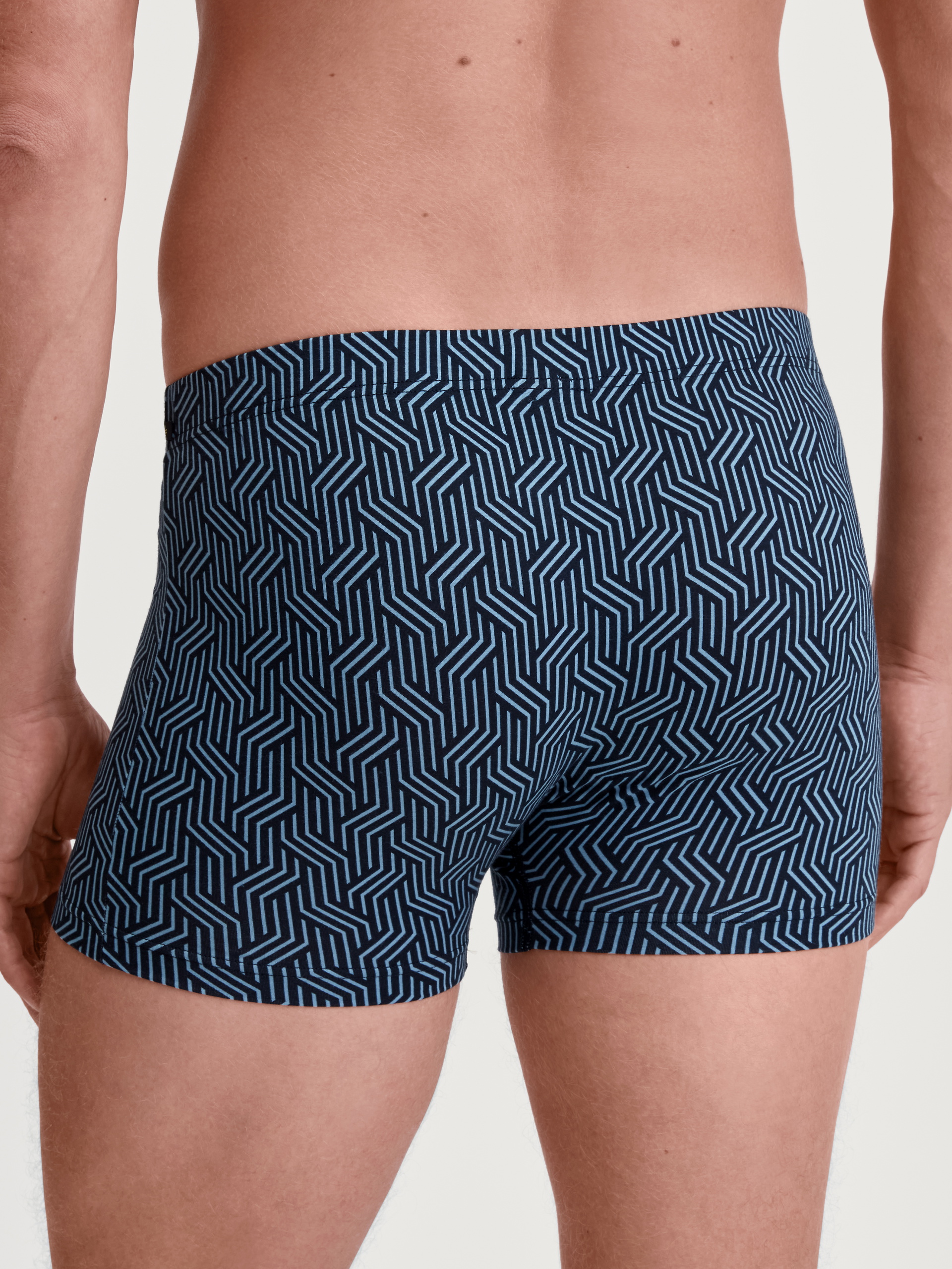 Le mannequin Homme porte le/la Boxer brief en TENCEL™ de couleur Bleu, À motifs, de la série Focus Trend de CALIDA, Vue arrière
