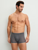 Men model is wearing Boxer brief made of Lyocell in Brown, Striped from the Focus Trend series by CALIDA, Front view
