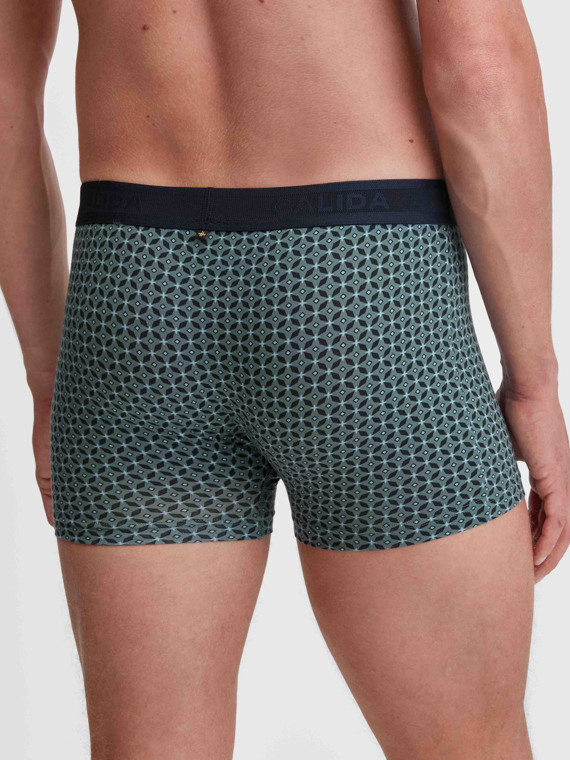 Le mannequin Homme porte le/la Boxer brief en TENCEL™ de couleur Vert, À motifs, de la série Focus Trend de CALIDA, Vue arrière
