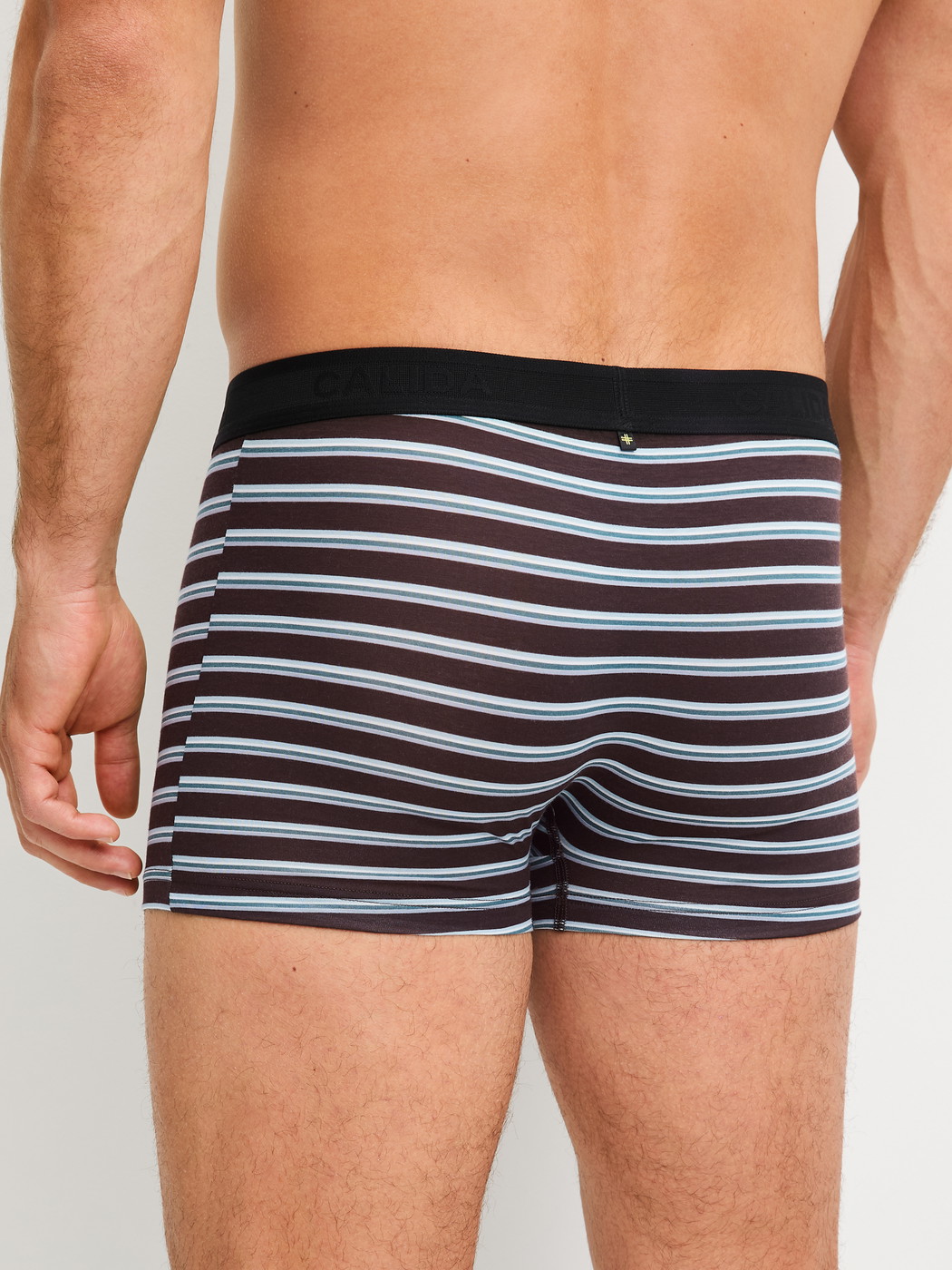 Men model is wearing Boxer brief made of Lyocell in Brown, Striped from the Focus Trend series by CALIDA, Back view