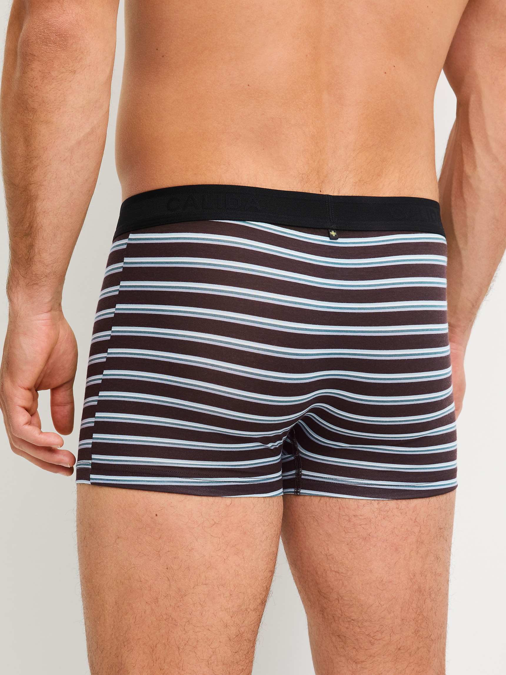 Herren-Model trägt Boxer Brief mit Softgummibund aus Lyocell in Braun, Gestreift aus Serie Focus Trend von CALIDA, Rückansicht